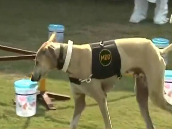 कोरोना के खिलाफ सेना की नई 'फौज'!