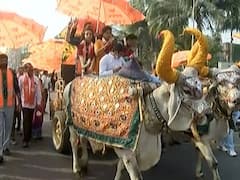 Surat ના વોર્ડ નંબર 7માં BJPના ઉમેદવારે બળદગાડામાં બેસી કર્યો પ્રચાર