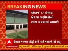 Tapi: ઉચ્છલના નેશનલ પોલટ્રી ફાર્મમાં મરઘાનો બર્ડ ફ્લૂ રિપોર્ટ પોઝિટિવ, અંદાજે 17 હજાર પક્ષીઓના કરાશે નાશ