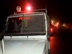 અમદાવાદની હદમાં જોવા મળ્યો દીપડો, સનાથલ બ્રિજ નજીક વાહનની ટક્કરે દીપડાનું મોત