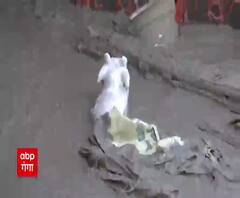 Vishnuprayag का मंजर कह रहा तबाही की खौफनाक दास्तां ! | Badrinath Highway | Glacier Burst 