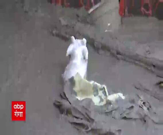 Vishnuprayag का मंजर कह रहा तबाही की खौफनाक दास्तां ! | Badrinath Highway | Glacier Burst 