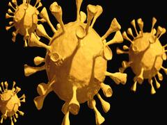 Maharashtra : वाशिम में कोरोना के नए मामले आए, पोहरादेवी मंदिर के महंत और 3 सेवादारों को हुआ कोरोना