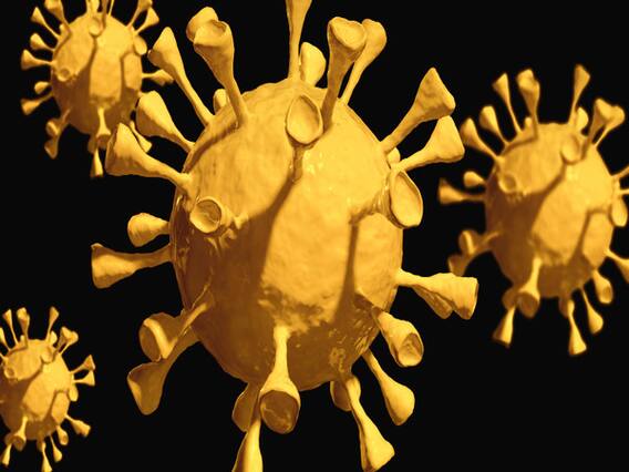 Maharashtra : वाशिम में कोरोना के नए मामले आए, पोहरादेवी मंदिर के महंत और 3 सेवादारों को हुआ कोरोना