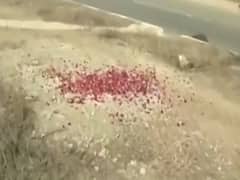 PM Modi ने दी Pulwama हमले में शहीद हुए जवानों को श्रद्धांजलि