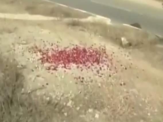 PM Modi ने दी Pulwama हमले में शहीद हुए जवानों को श्रद्धांजलि