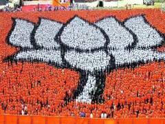 Gujarat Election 2021:છ મનપાની ચૂંટણીમાં ભાજપનો પ્રચંડ વિજય, કોગ્રેસના સૂપડા સાફ