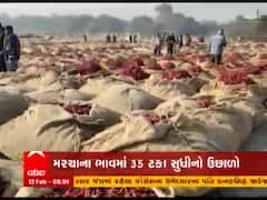 નિકાસ વધતા મરચાના ભાવમાં કેટલા ટકા સુધીનો થયો વધારો?