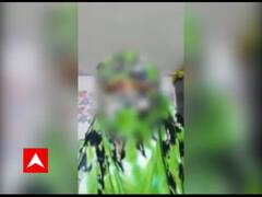 ‘ભાજપના ધારાસભ્યે મારી સાથે ગાંધીનગરમાં MLA ક્વાર્ટર્સમાં શરીર સંબંધ બાંધ્યો ને પછી..........’, યુવતીએ વીડિયોમાં શું કહ્યું ?