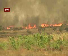 Nagpur Fire | नागपूर-अमरावती महामार्गावरच्या जंगलात आग