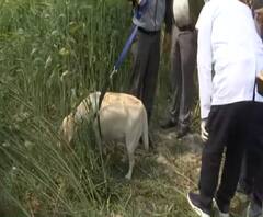 Forensic Team पहुंची Unnao, घटनास्थल पर शुरू की जांच | ABP Ganga 