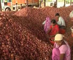 Special Report | कांद्याच्या दरांमुळे शेतकऱ्यांच्या डोळ्यात पाणी