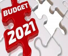 Budget Session 2021: দেশজুড়ে আর্থিক ধস? কোন পথের সুরাহা খুঁজছেন সাধারণ মানুষ?