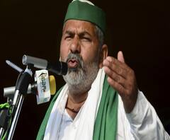 किसानों के फसल बर्बाद करने के फैसले पर राकेश टिकैत ने दिया जवाब। Rakesh Tikait। 