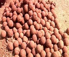 Fire at Pawangad | कोल्हापुरातील पावनगडावर तोफगोळे सापडलेल्या ठिकाणी आग, शिवप्रेमींकडून संताप