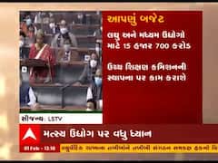 Budget 2021:દેશમાં ડિઝિટલ રીતે વસ્તીગણતરી કરવામાં આવશે