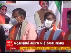 મહેસાણા શહેર ભાજપ પ્રમુખ અને મહામંત્રીઓની પત્નીને ટિકિટની લ્હાણી, જુઓ વીડિયો 
