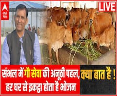 संभल में गौ सेवा की अनूठी पहल, हर घर से इकट्ठा होता है भोजन | Kya Baat Hai 