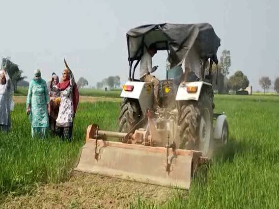 खड़ी फसलों पर ट्रैक्टर चलाकर किसानों ने तीनों कृषि बिलों का जताया विरोध | इंडिया चाहता है