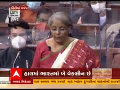 Budget 2021: LICના IPOને લઇને બજેટમાં શું કરાઇ મોટી જાહેરાત, જાણો વિગત