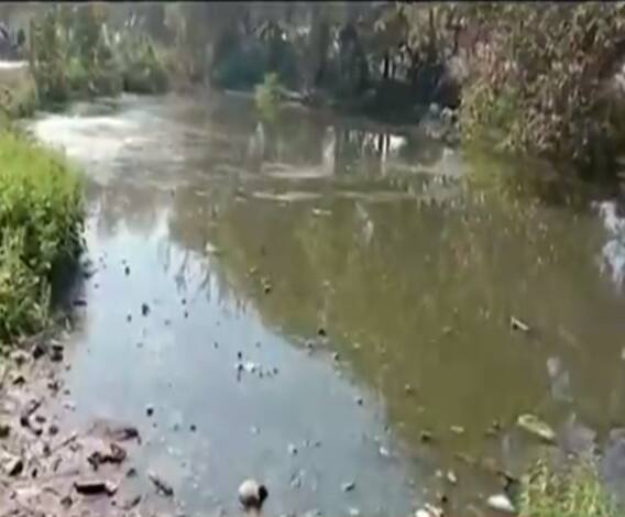 कन्नौज में तालाब की सफाई के लिए महिलाओं की अनूठी पहल | Mudde Ki Baat | ABP Ganga