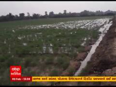 Banaskantha: ચારડા ગામની સીમમાંથી પસાર થતી કેનાલમાં 20 ફૂટનું ગાબડું પડ્યું