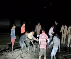 कीचड़ में फंसी गाय को बचाने के लिए 5 घंटे तक चला रेस्क्यू ऑपरेशन | Uttarkashi 