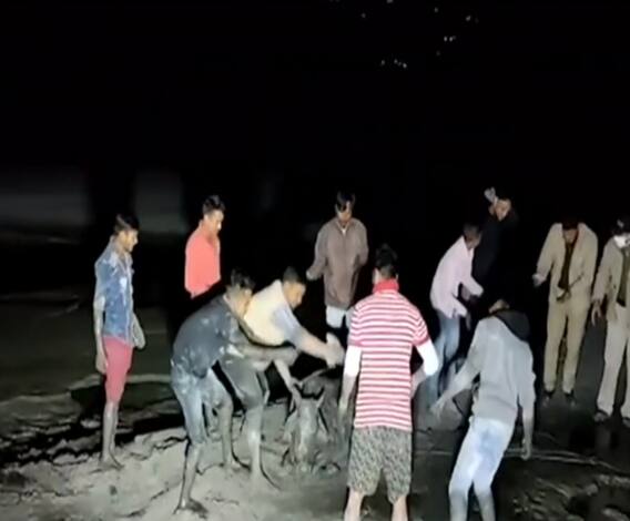 कीचड़ में फंसी गाय को बचाने के लिए 5 घंटे तक चला रेस्क्यू ऑपरेशन | Uttarkashi 