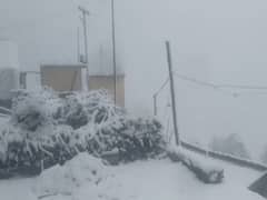 Weather : Uttarakhand के कई इलाकों में बर्फबारी, मैदानों में हो रही है बारिश 