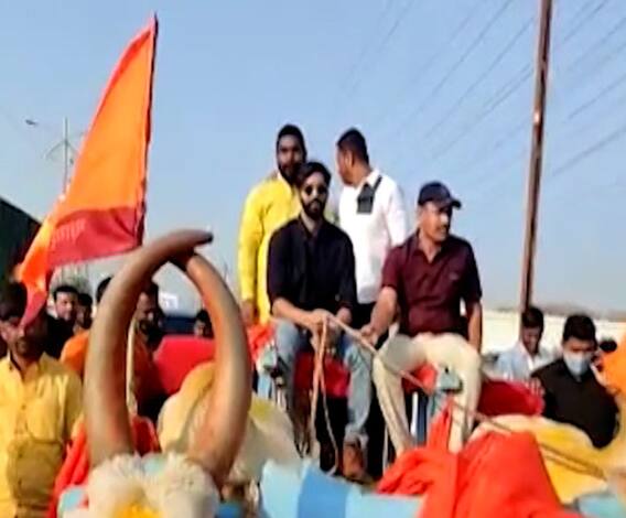 Amit Thackeray drove a bullock cart | जेव्हा अमित ठाकरे बैलगाडी चालवतात...