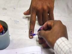 તાલુકા-જિલ્લા અને નગરપાલિકાની ચૂંટણીમાં ફોર્મ ભરવાનો આજે અંતિમ દિવસ