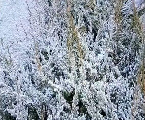 Uttarakhand में पहाड़ से लेकर मैदान तक प्रचंड ठंड ! | @ABPGanga 