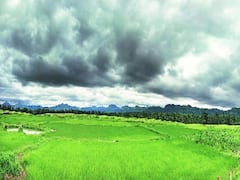 દક્ષિણ ગુજરાતના આ તાલુકાના ગ્રામ્ય વિસ્તારમાં વરસાદ, જુઓ વીડિયો