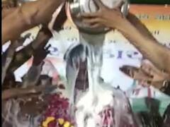 Ahmedabad: કોગ્રેસના વિજેતા ઉમેદવાર પર કેટલા લીટર દૂધથી કરાયો અભિષેક