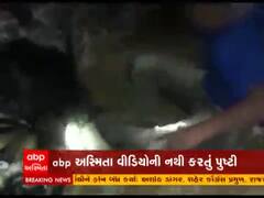 Kutch: રાપરમાં પ્રેમી યુગલને માર મારતો વીડિયો વાયરલ 