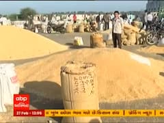 રાજકોટ કિસાન સંઘની ટેકાના ભાવે ઘઉંની ખરીદી શરૂ કરવાની સરકાર પાસે માંગ