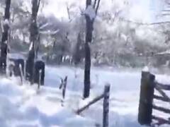 અસ્મિતા વિશેષઃ કુદરતનો સફેદ કહેર