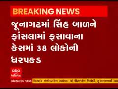 સિંહનો શિકાર કરતા સુરેન્દ્રનગરના 38 આરોપીઓની વન વિભાગે કરી ધરપકડ