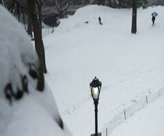 अमेरिकेच्या टेक्सासमध्ये हिमप्रलयामुळे दीड कोटी नागरिकांचे हाल, बर्फ वितळवून पाणी पिण्याची वेळ