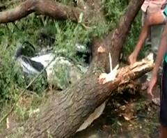 Rural News | वर्ध्यात वीज कोसळल्याने दोघं गंभीर जखमी | माझं गाव माझा जिल्हा | 17 फेब्रुवारी 2021