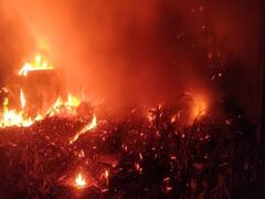 Kutch ના ચોપવાડાના પ્લાયવુડના ગોડાઉનમાં ભીષણ આગ લાગી, લાખોના મશીનો બળીને ખાખ