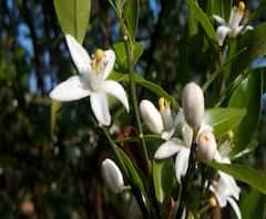 Rural News | माझं गाव माझा जिल्हा | गावाकडच्या बातम्यांचा वेगवान आढावा | ABP Majha