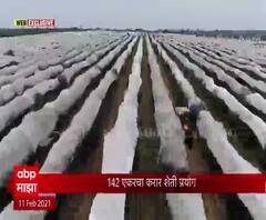 WEB EXCLUSIVE | 142 एकरचा करार शेती प्रयोग, दोन शेतकऱ्यांनी घेतली 75 लाख भाडेपट्ट्यावर शेती