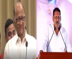 Udayan Raje Bhosale will meet Sharad Pawar | भाजपचे खासदार उदयनराजे शरद पवार यांची भेट घेणार