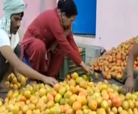 किसानी का कमालः इस महिला ने कम लागत में कमाया ज्यादा मुनाफा, जानें कैसे ? | Satte Pe Satta 