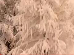 इटली में 'नारंगी बर्फबारी' बनी लोगों के लिए मुसीबत