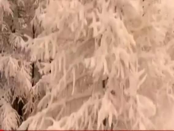 इटली में 'नारंगी बर्फबारी' बनी लोगों के लिए मुसीबत