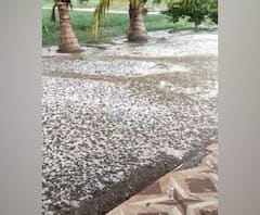 Maharashtra Unseasonal Rain | राज्यभर अवकाळी पावसाचा धुमाकूळ 