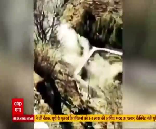 ABP News ABP News