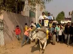 Ahmedabad: આ વોર્ડમાં મતદારોને આકર્ષવા બળદગાડામાં પ્રચાર કરી રહ્યા છે અપક્ષ ઉમેદવાર